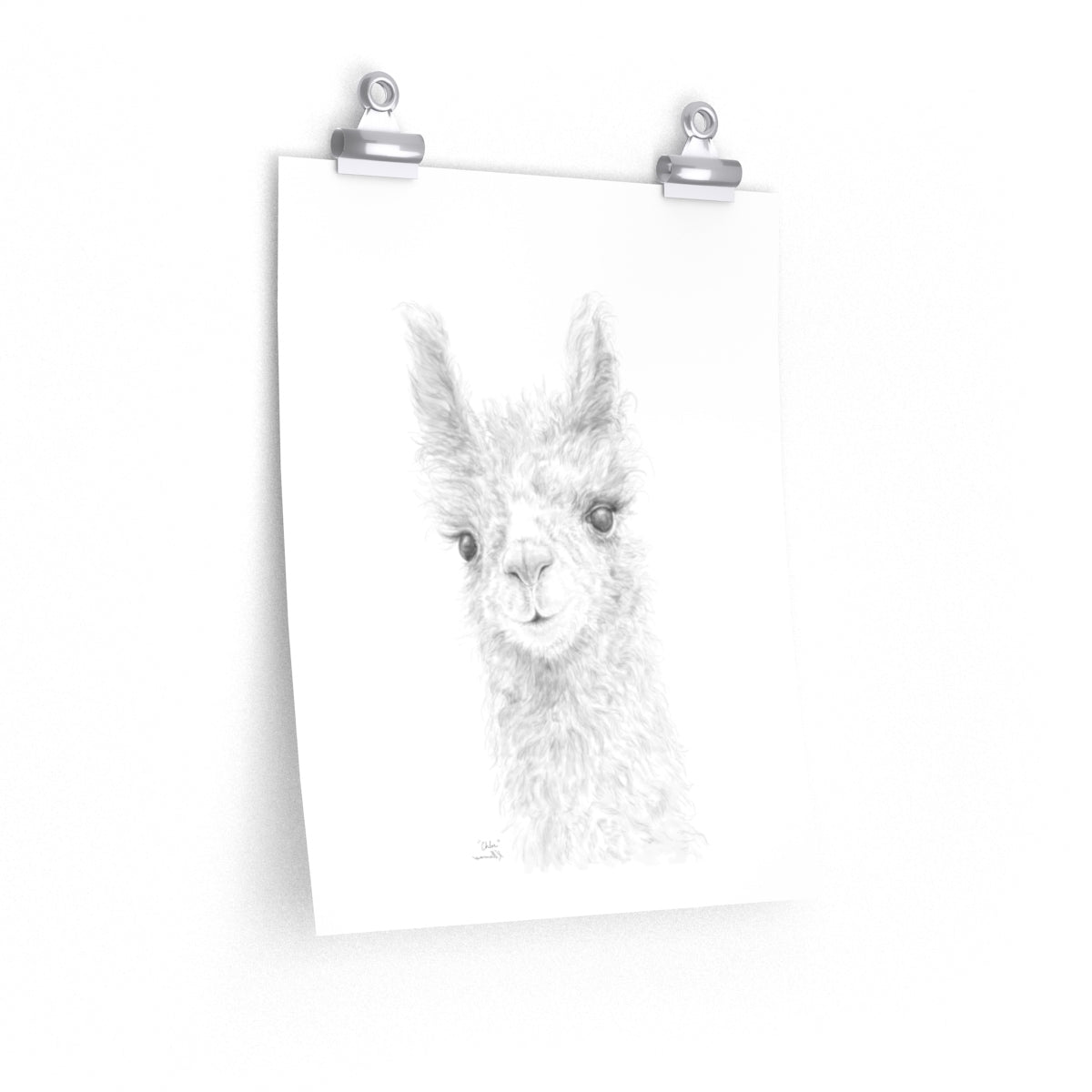 CHLOE Llama- Art Paper Print