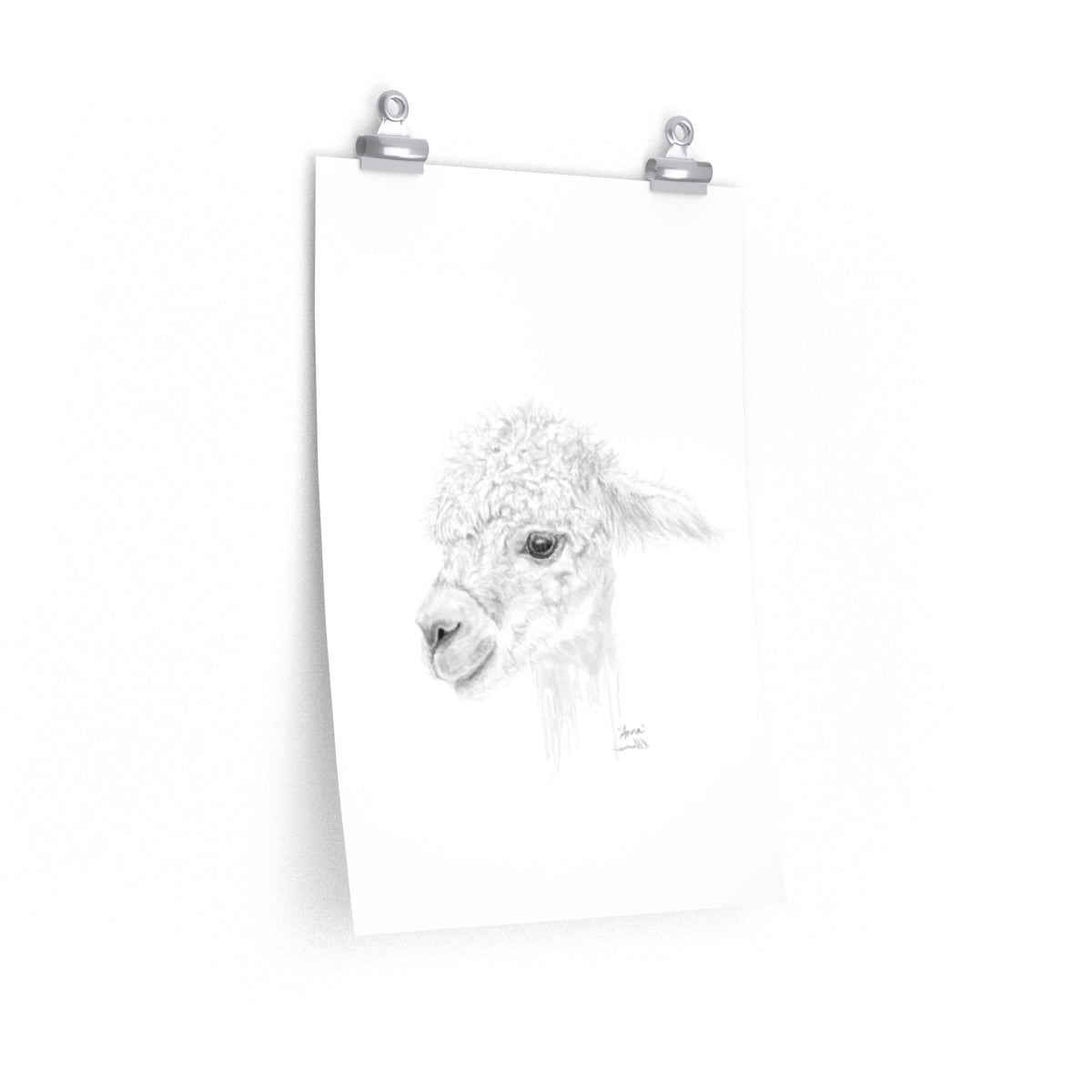 ANNA Llama- Art Paper Print