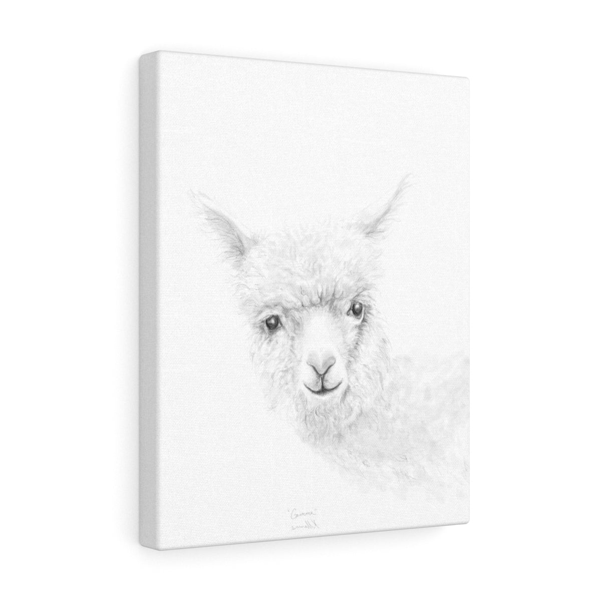 GEMMA Llama - Art Canvas