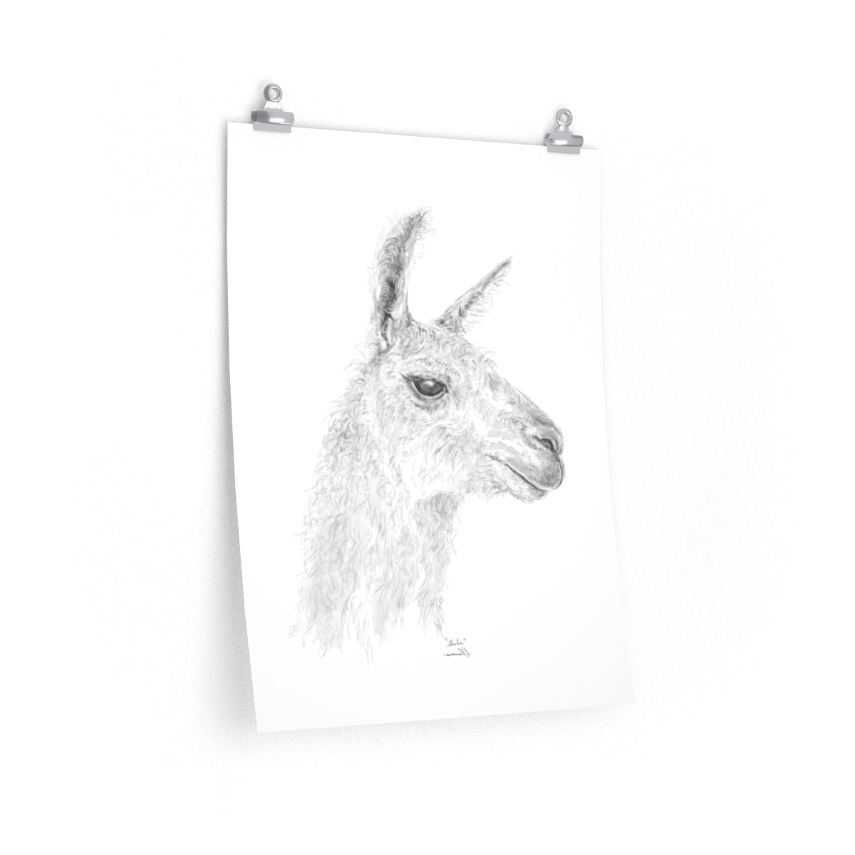 SHELIA Llama- Art Paper Print