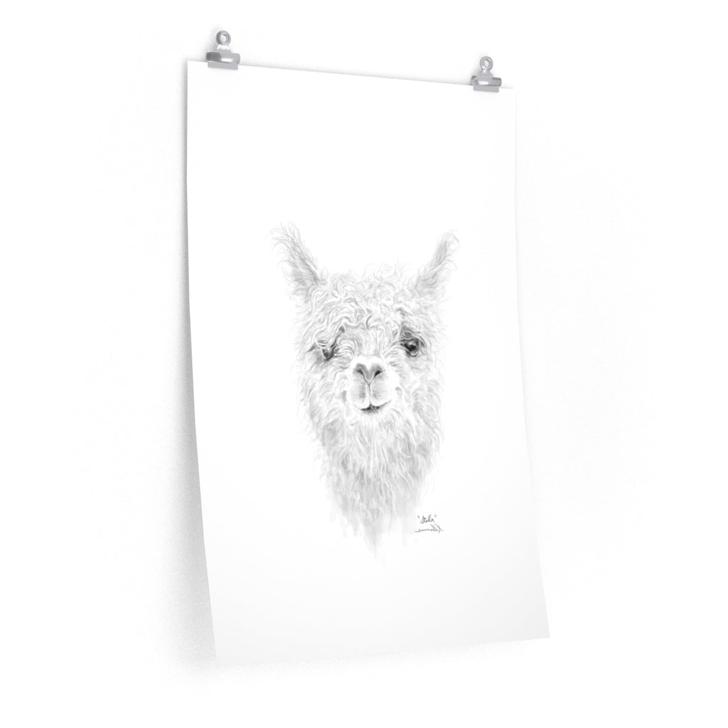 STELLA Llama- Art Paper Print