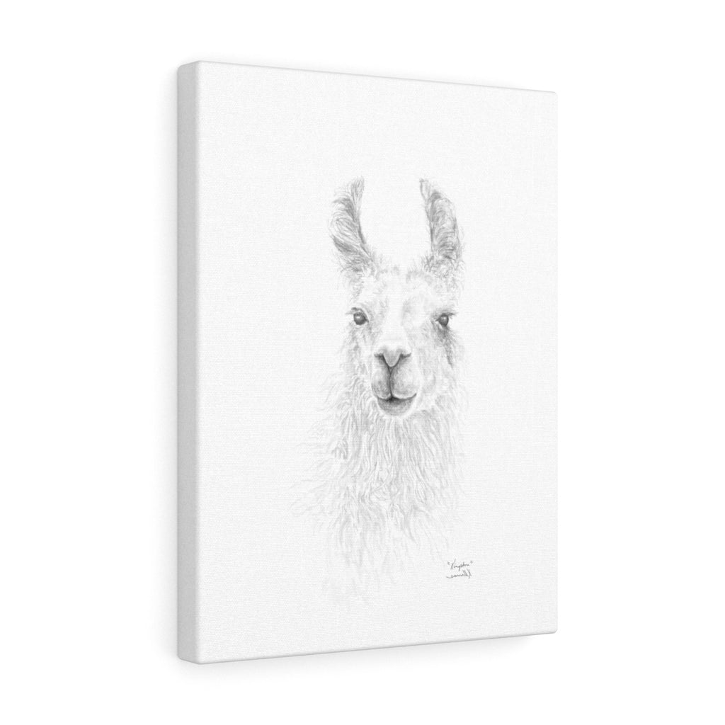 KINGSTON Llama - Art Canvas