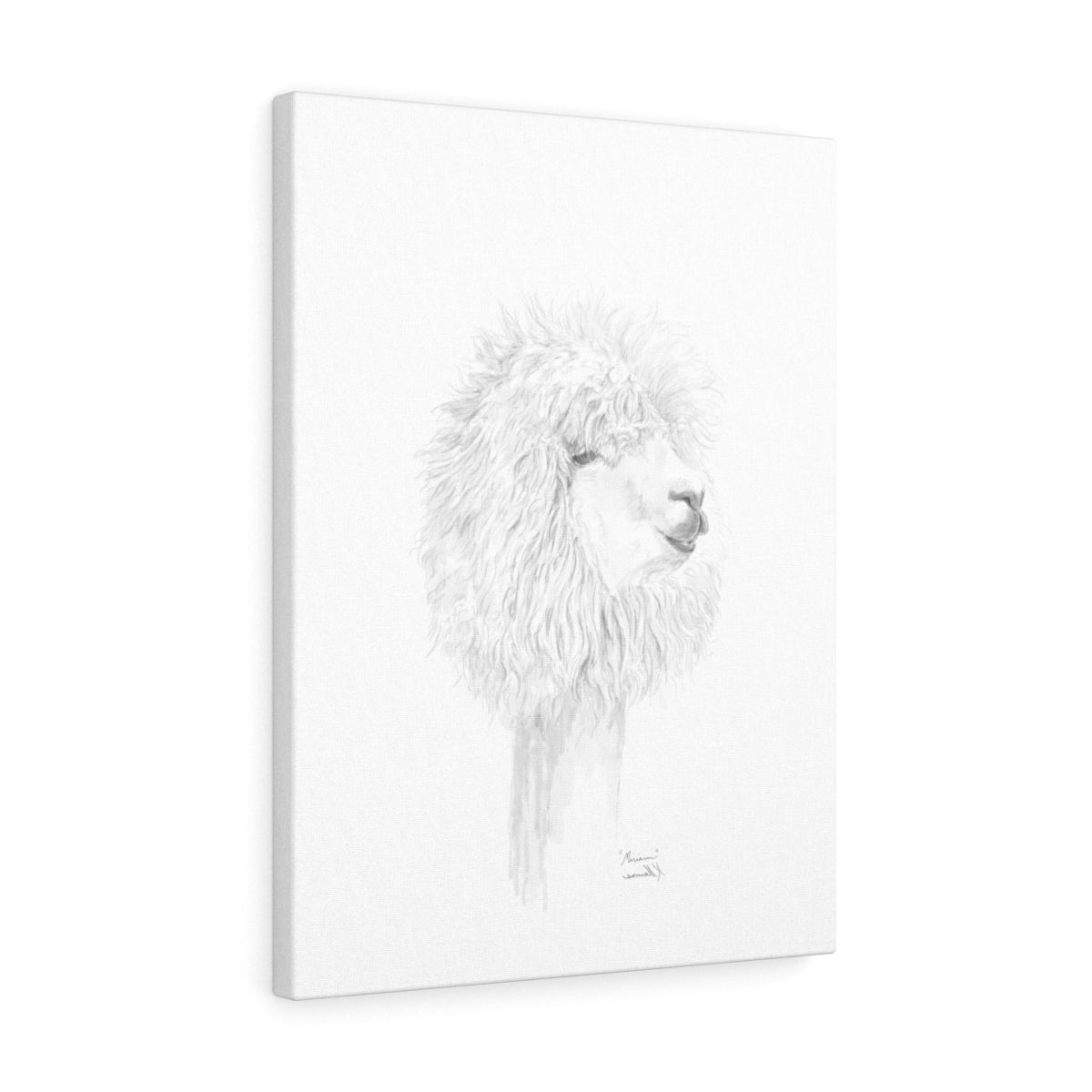 MIRIAM Llama- Art Canvas