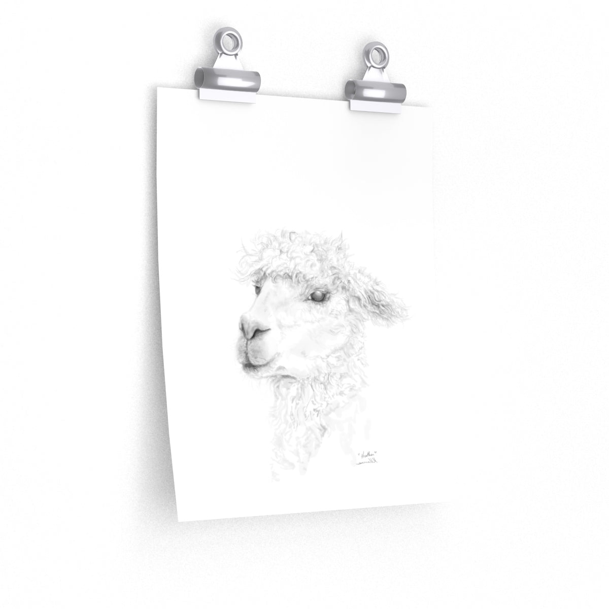 HEATHER Llama- Art Paper Print