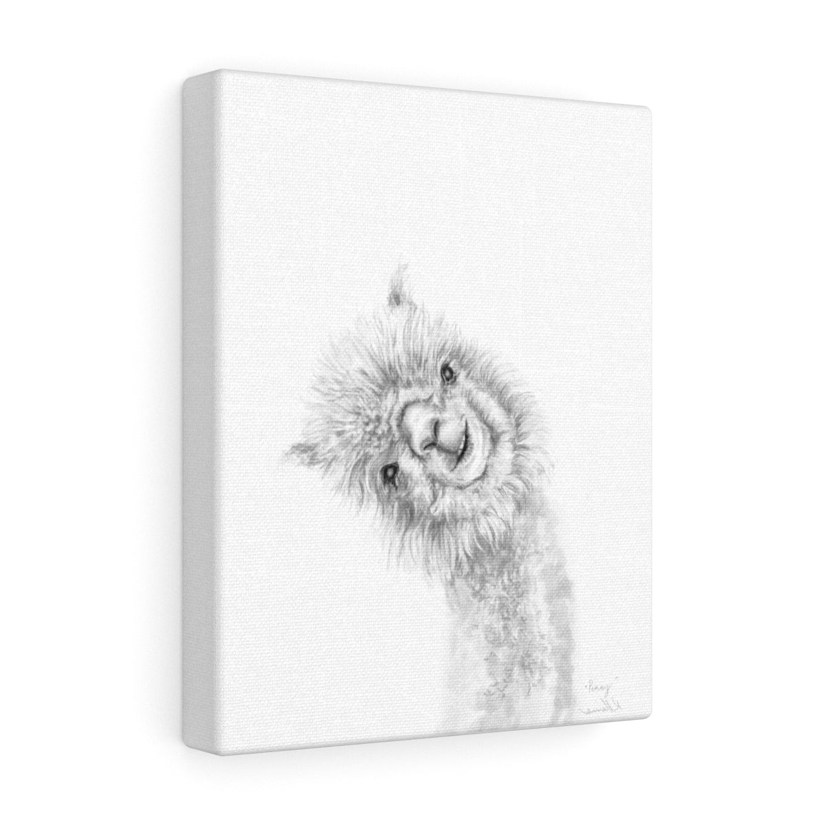 PENNY Llama - Art Canvas