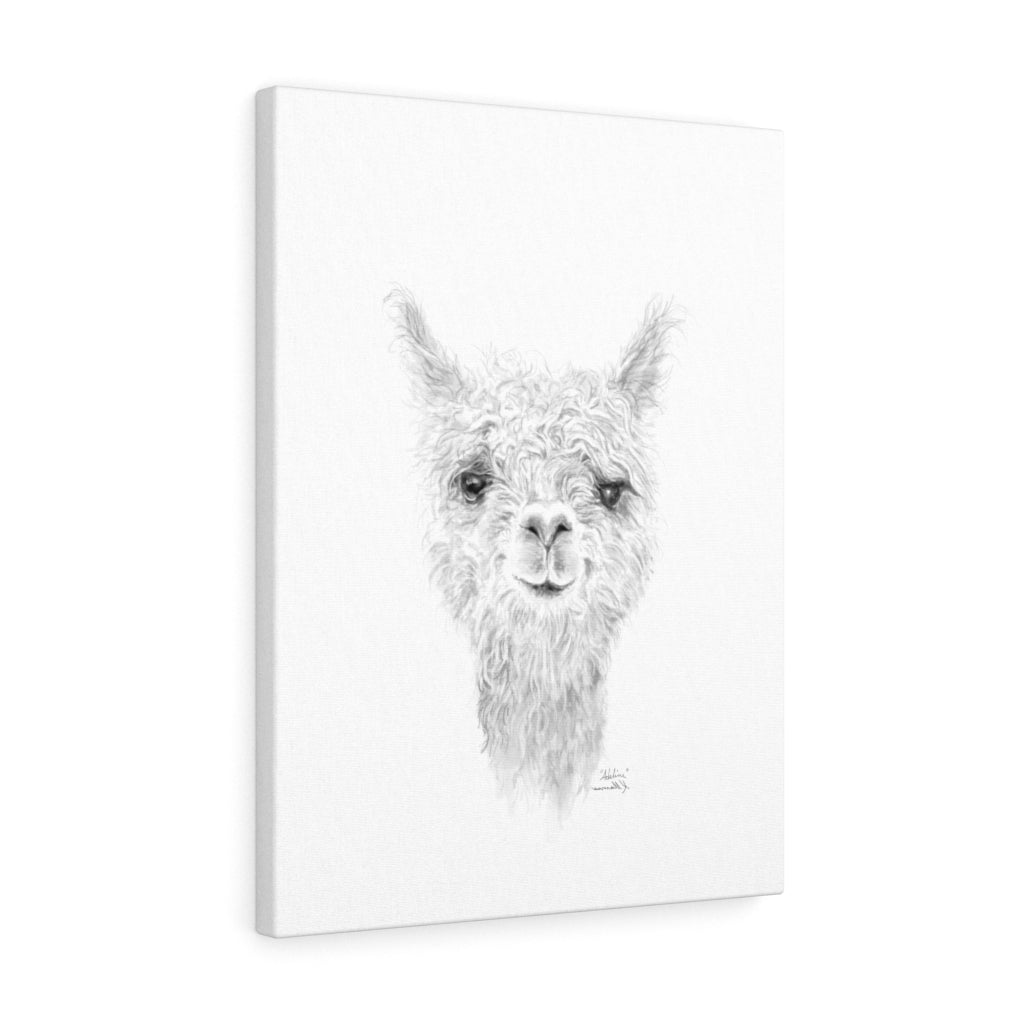 ADELINE Llama - Art Canvas