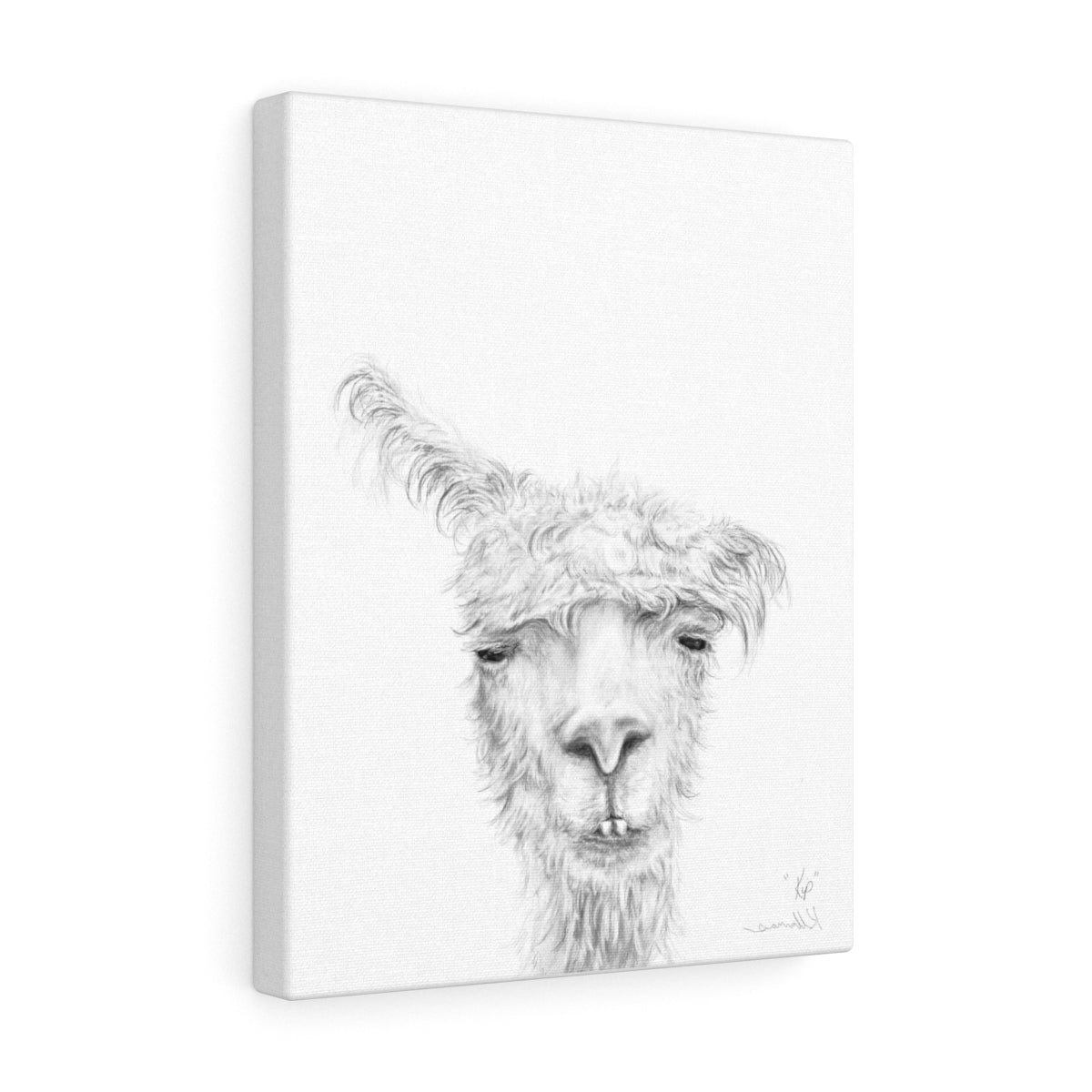 KIP Llama - Art Canvas
