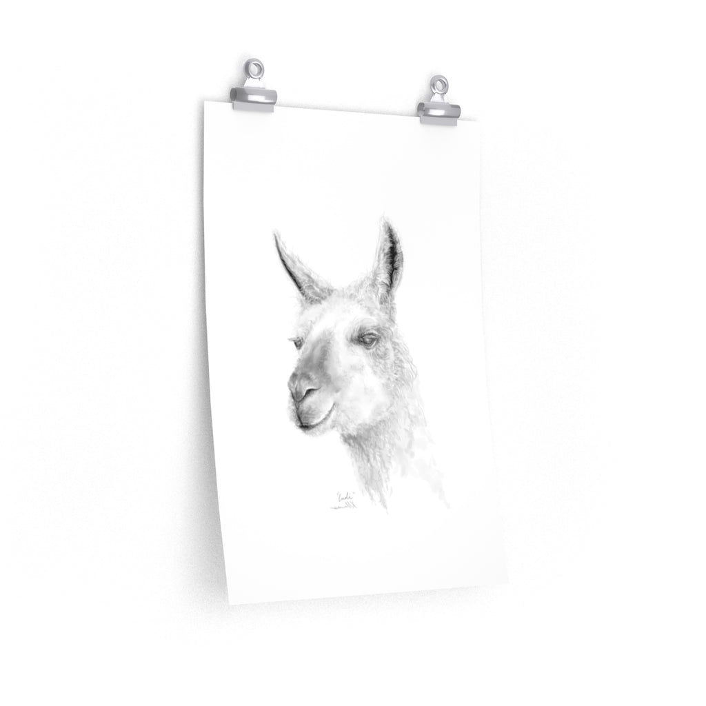 INDI Llama- Art Paper Print