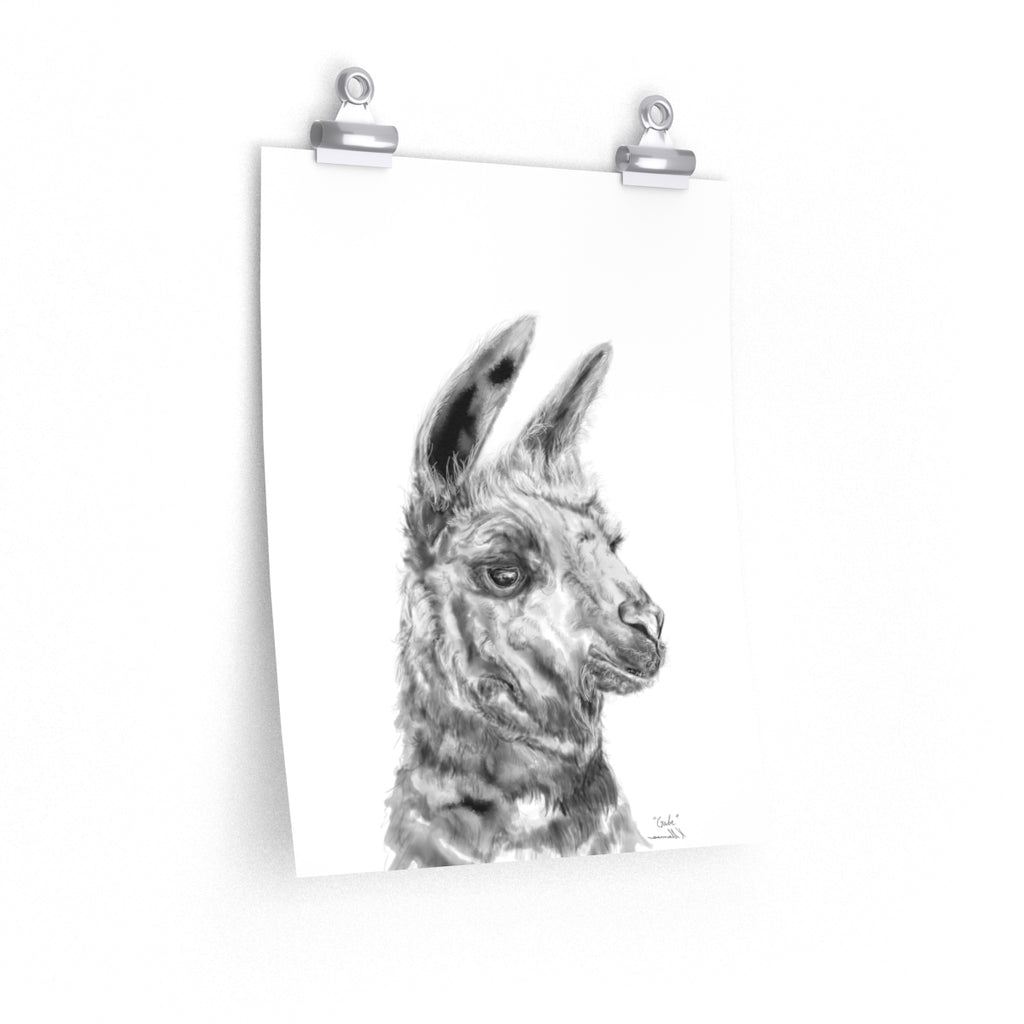 GABE Llama- Art Paper Print