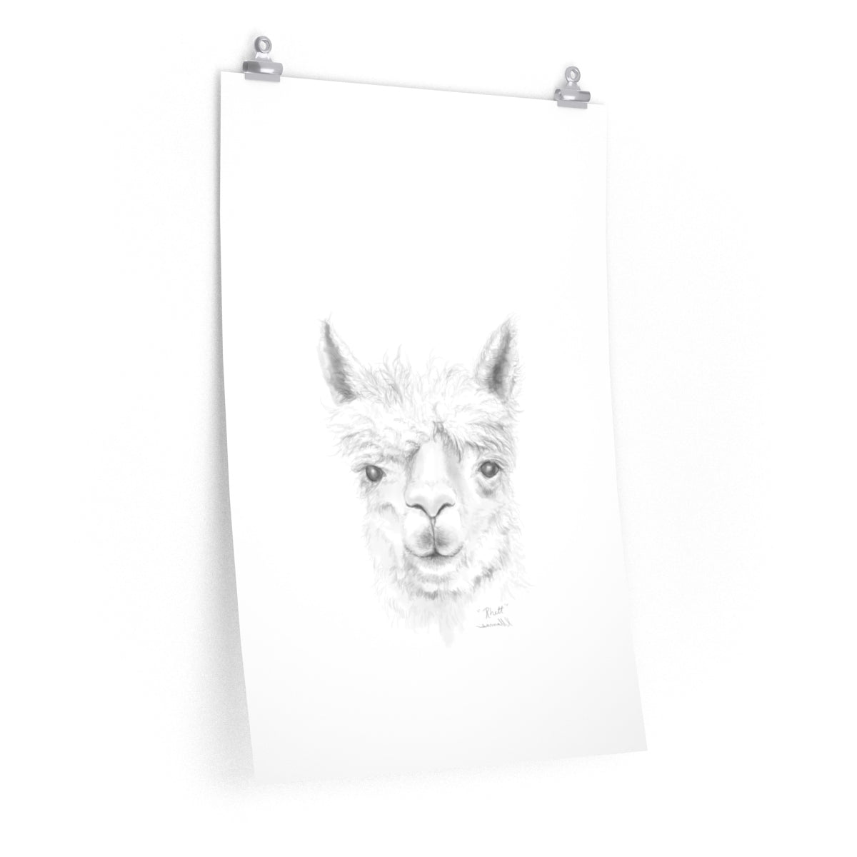 RHETT Llama- Art Paper Print