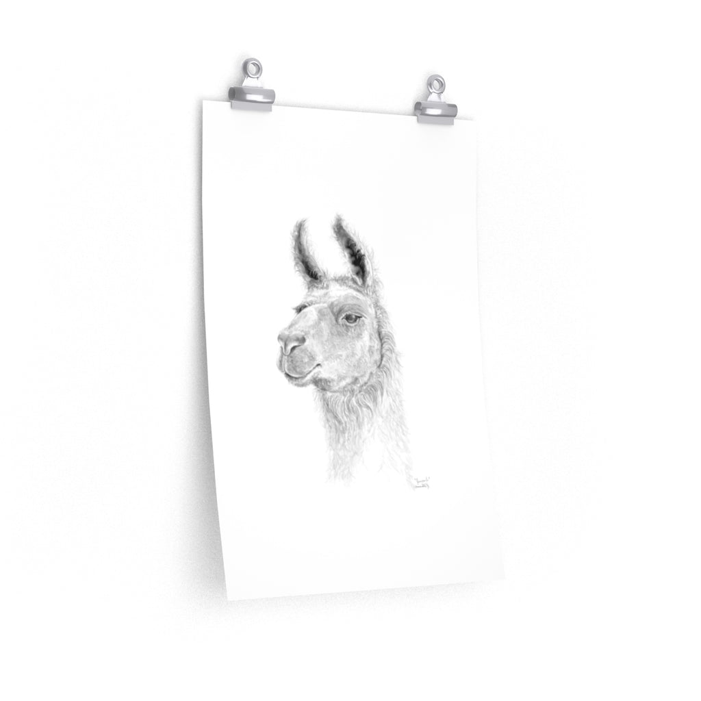 JAN CARLO Llama- Art Paper Print