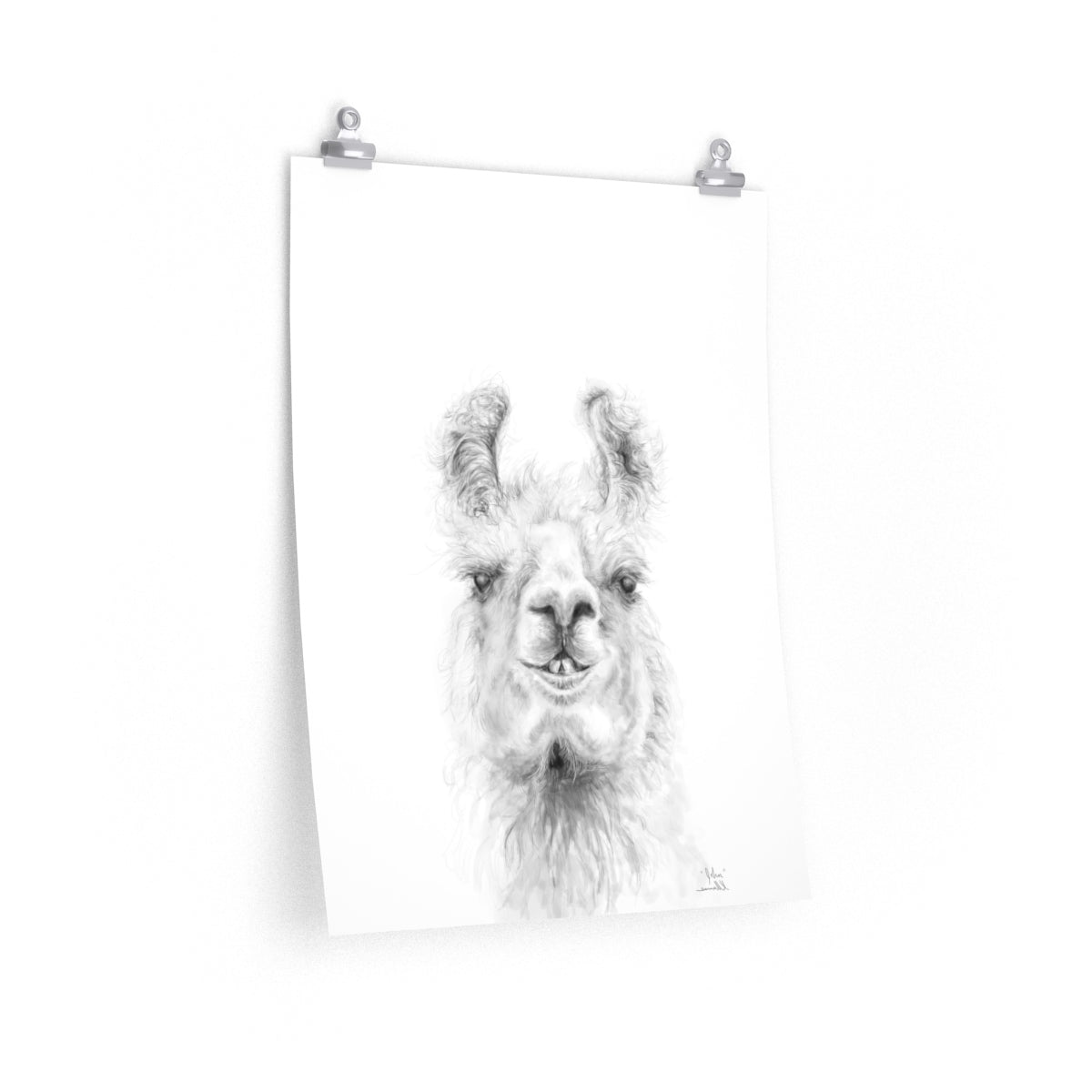 JOHN Llama- Art Paper Print