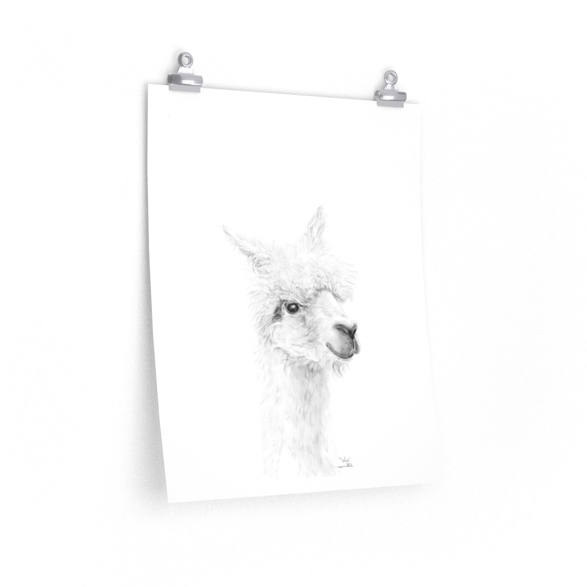 WES Llama- Art Paper Print
