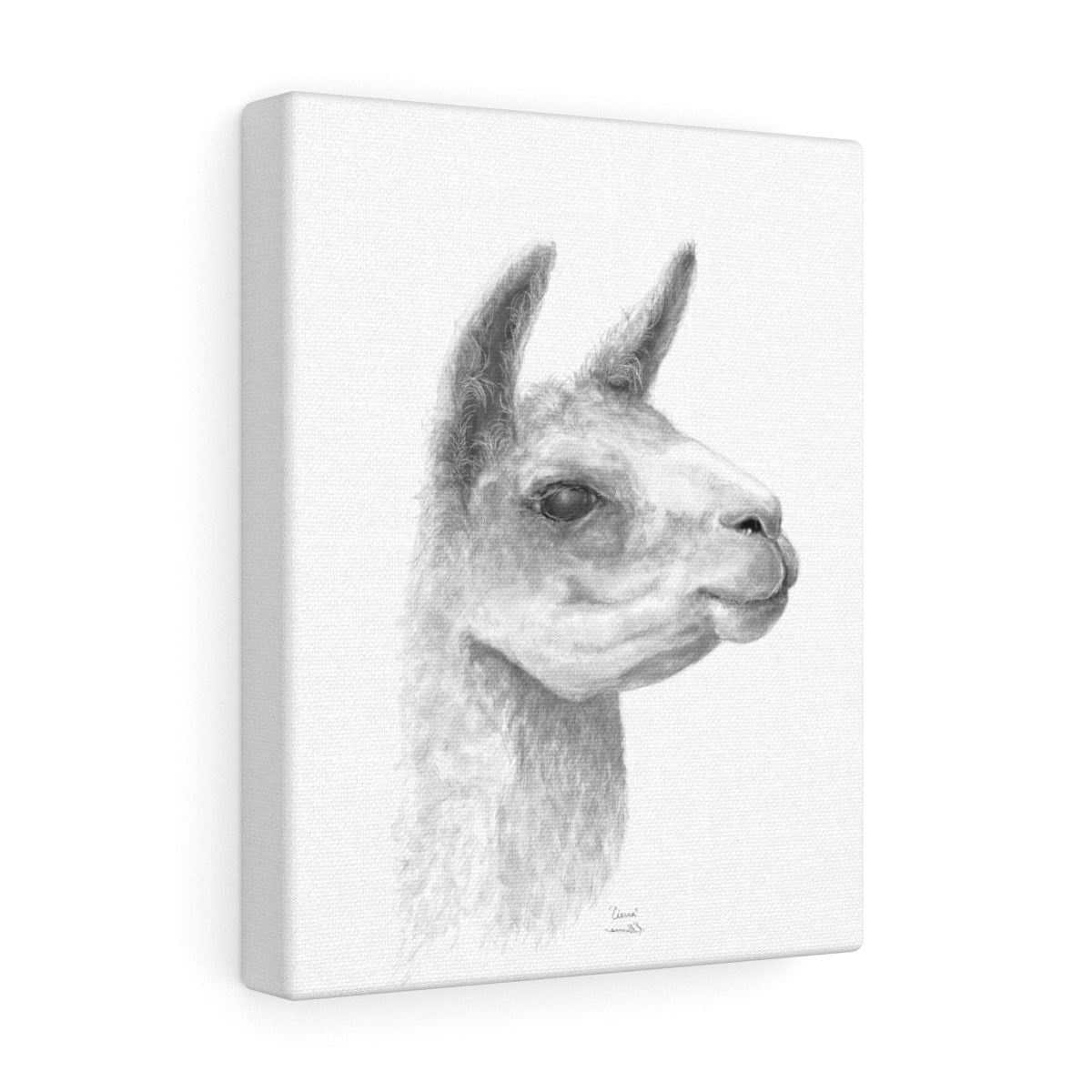 CIERRA Llama - Art Canvas