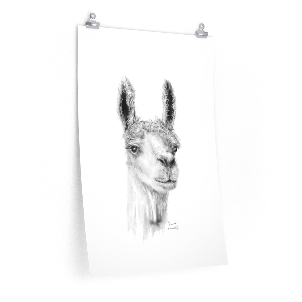 CARRIE Llama- Art Paper Print
