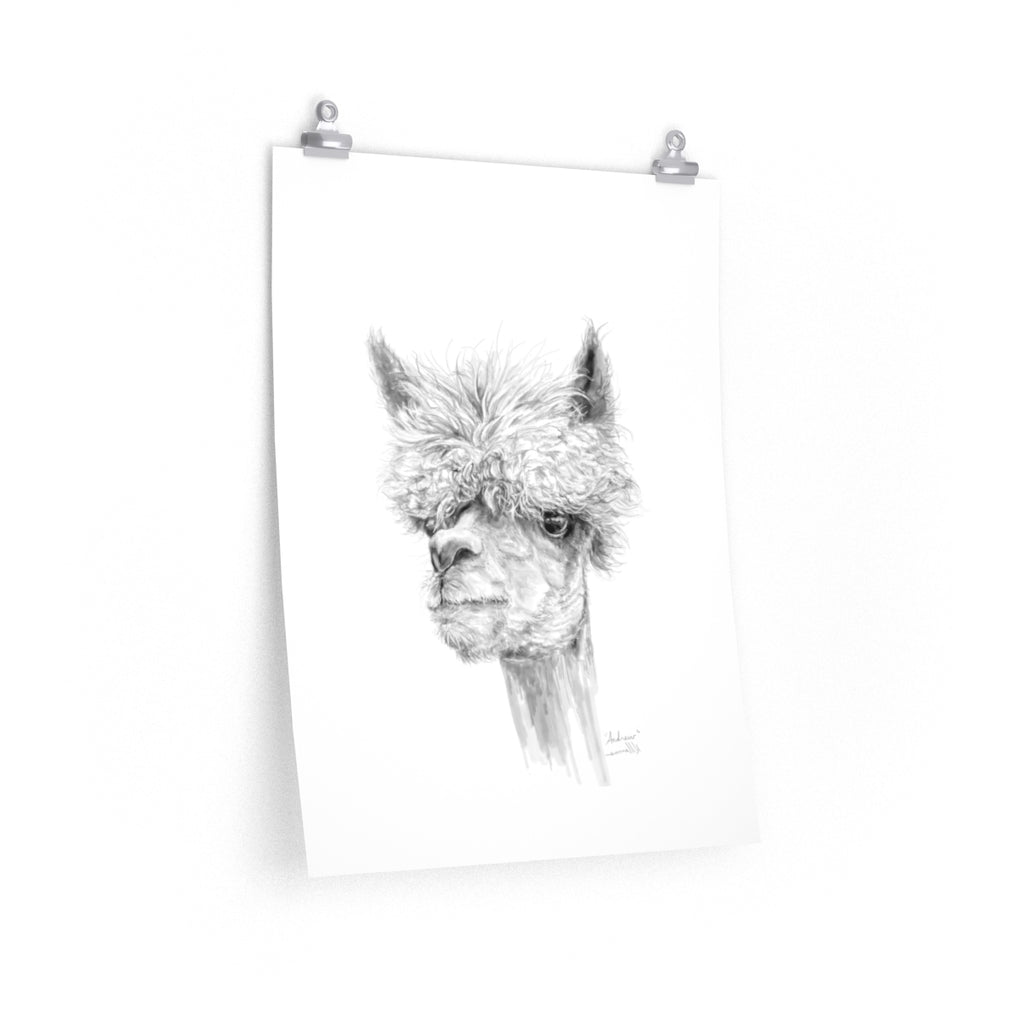 ANDREW Llama- Art Paper Print