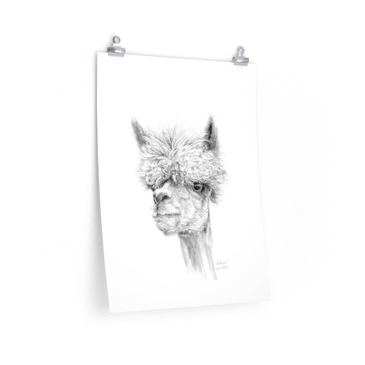 ANDREW Llama- Art Paper Print