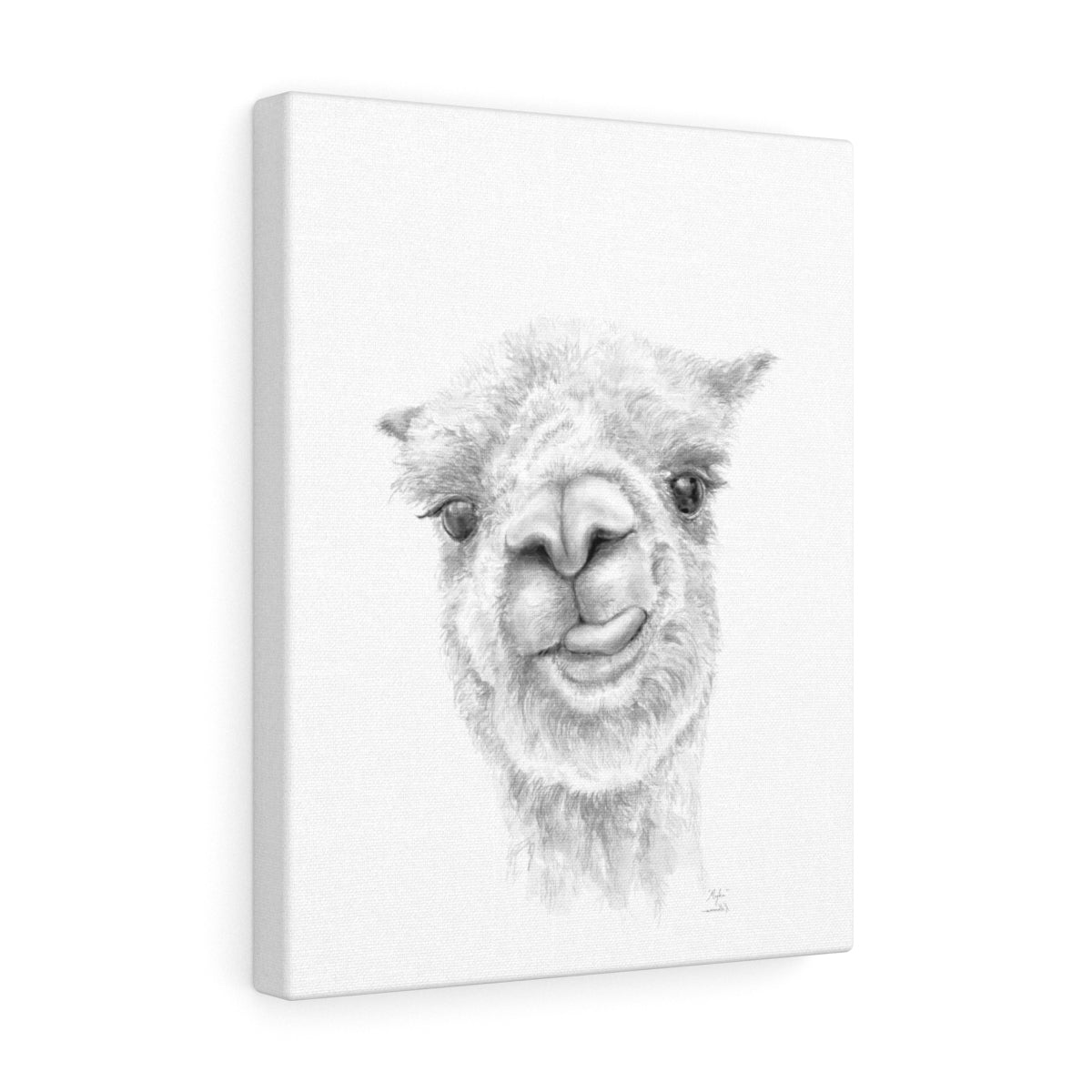 Myka Llama - Art Canvas