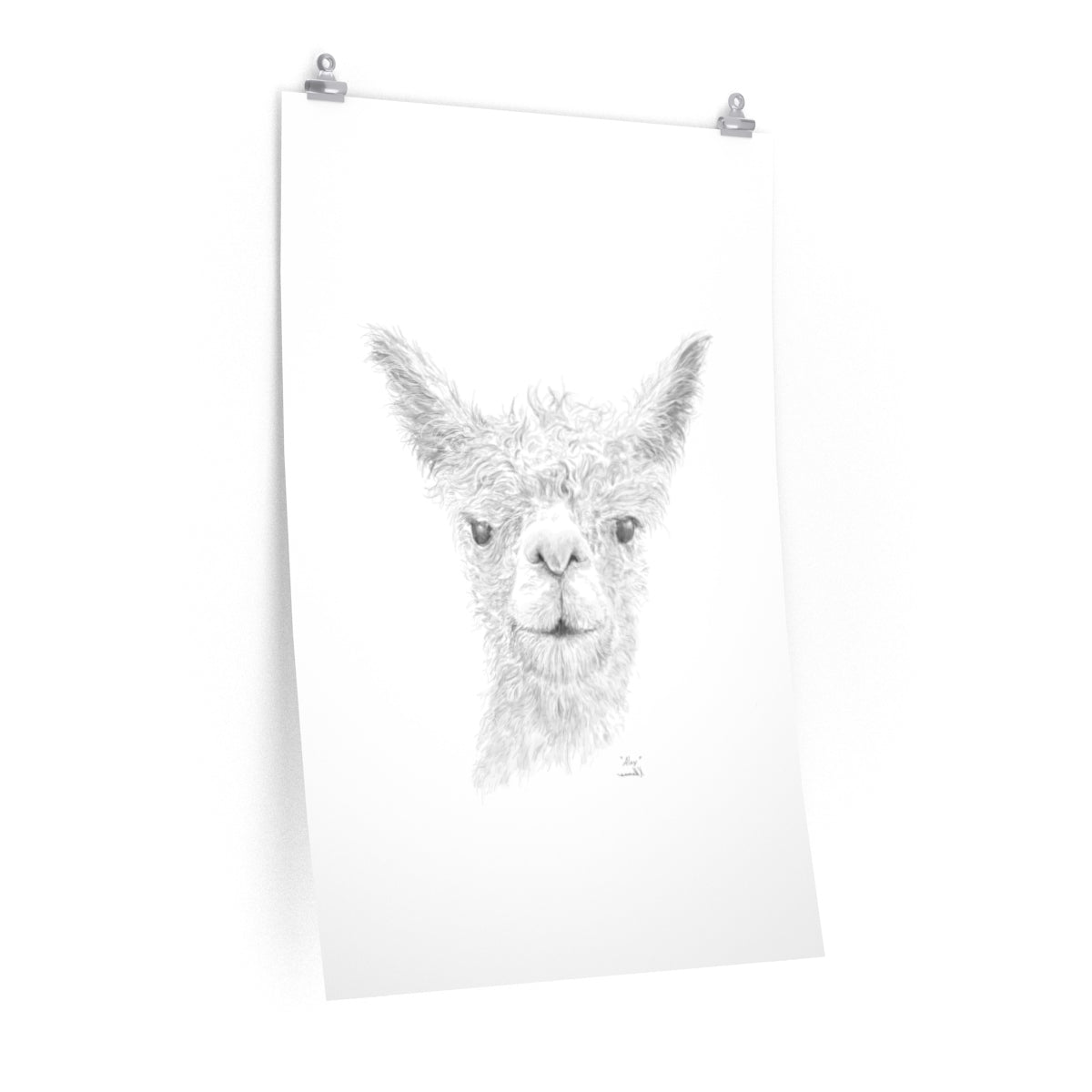 Alex Llama- Art Paper Print