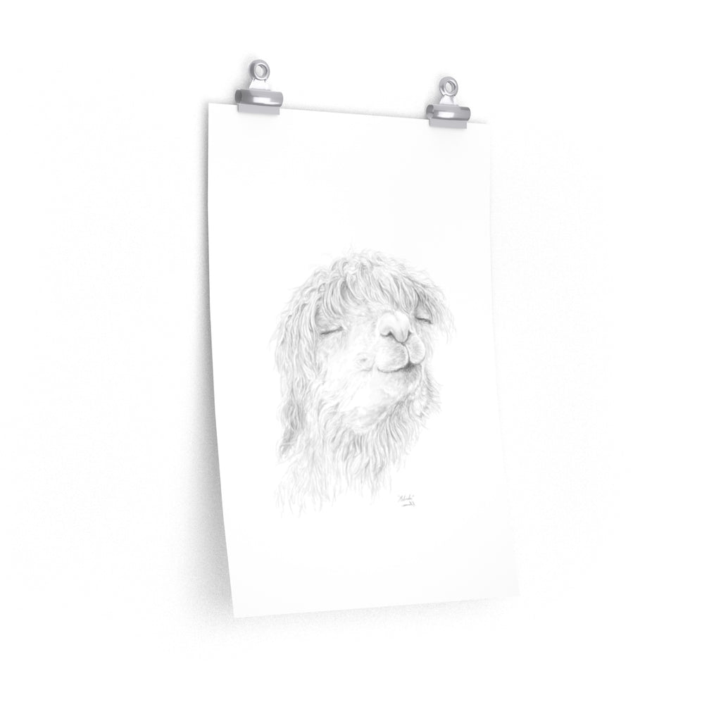 MELINDA Llama- Art Paper Print