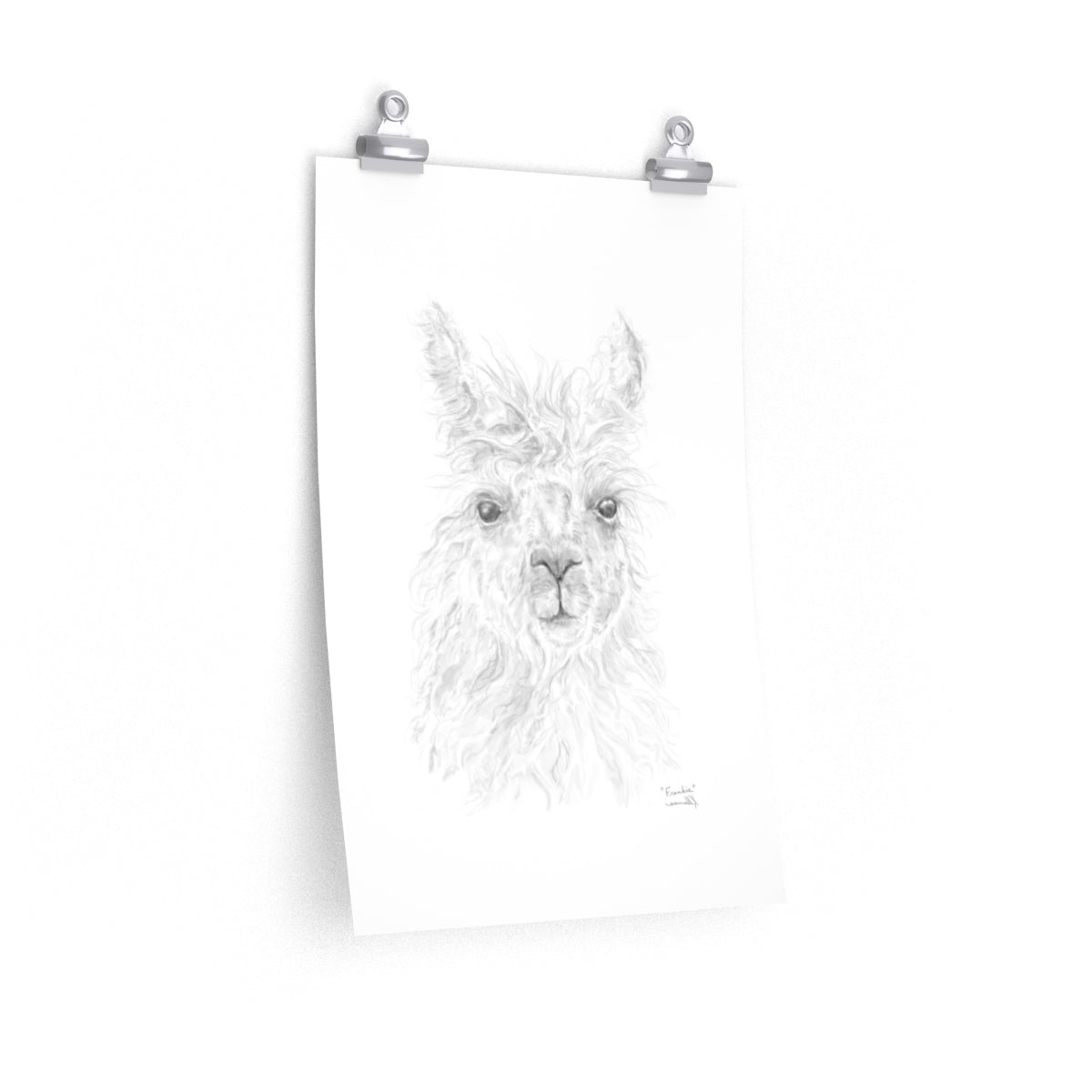 FRANKIE Llama- Art Paper Print