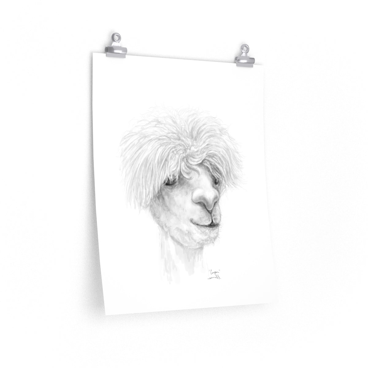 COOPER Llama- Art Paper Print