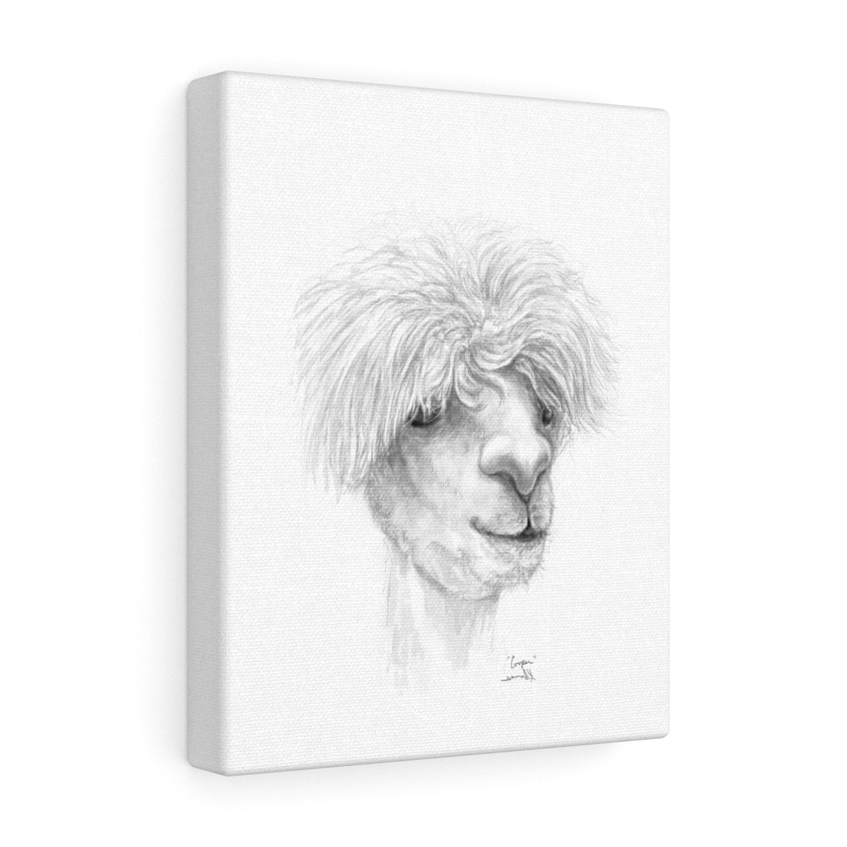COOPER Llama - Art Canvas
