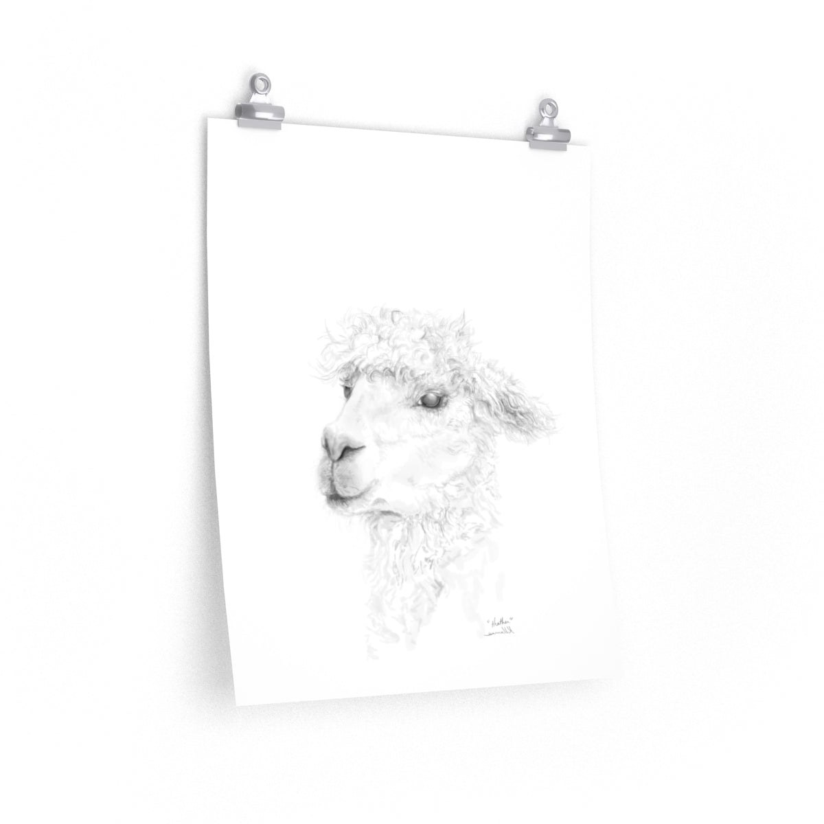 HEATHER Llama- Art Paper Print