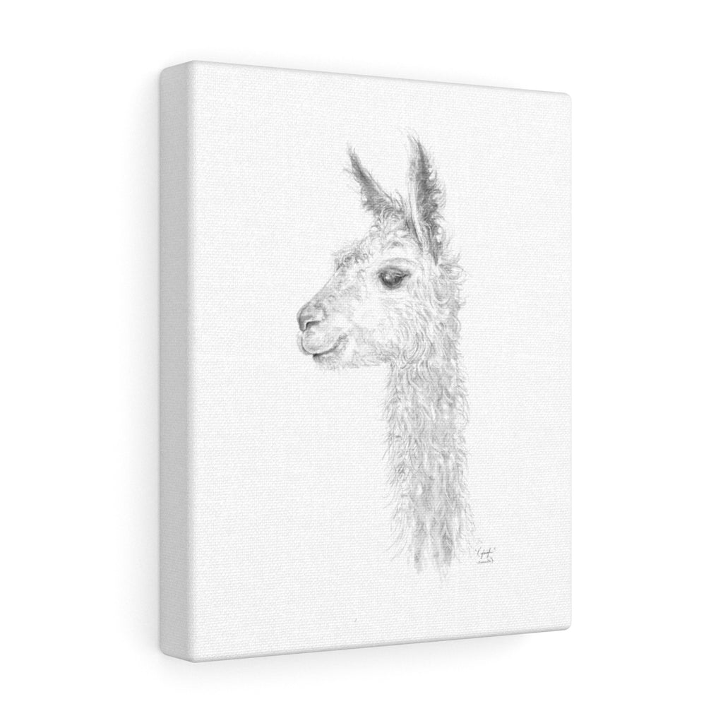 KYLEIGH Llama - Art Canvas