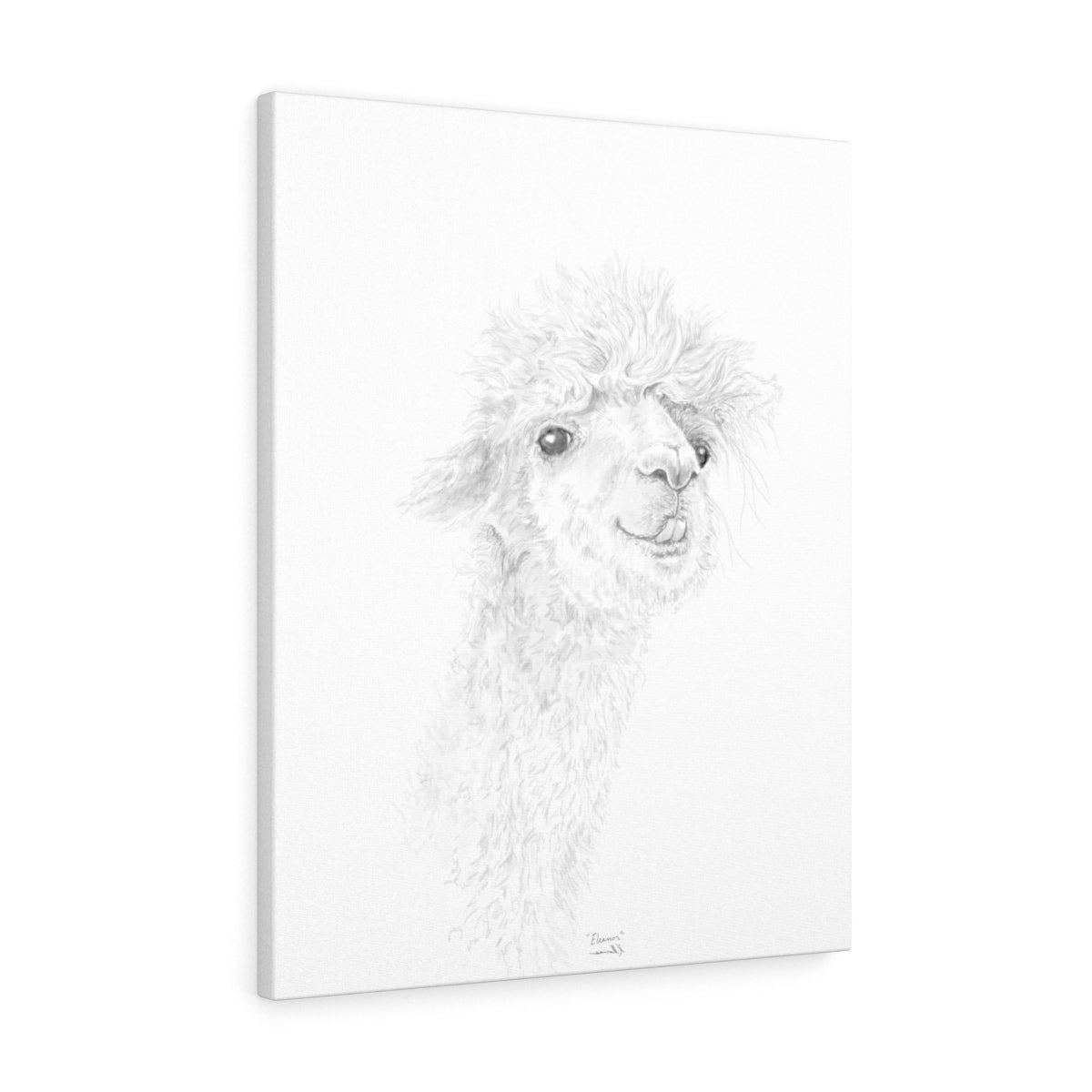ELEANOR Llama - Art Canvas