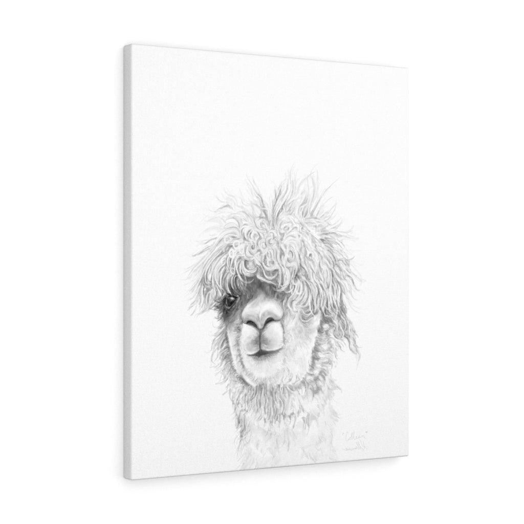COLLEEN Llama - Art Canvas