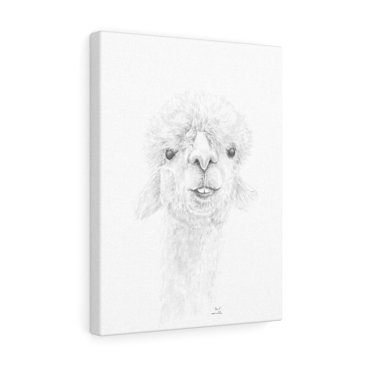 PEARL Llama - Art Canvas
