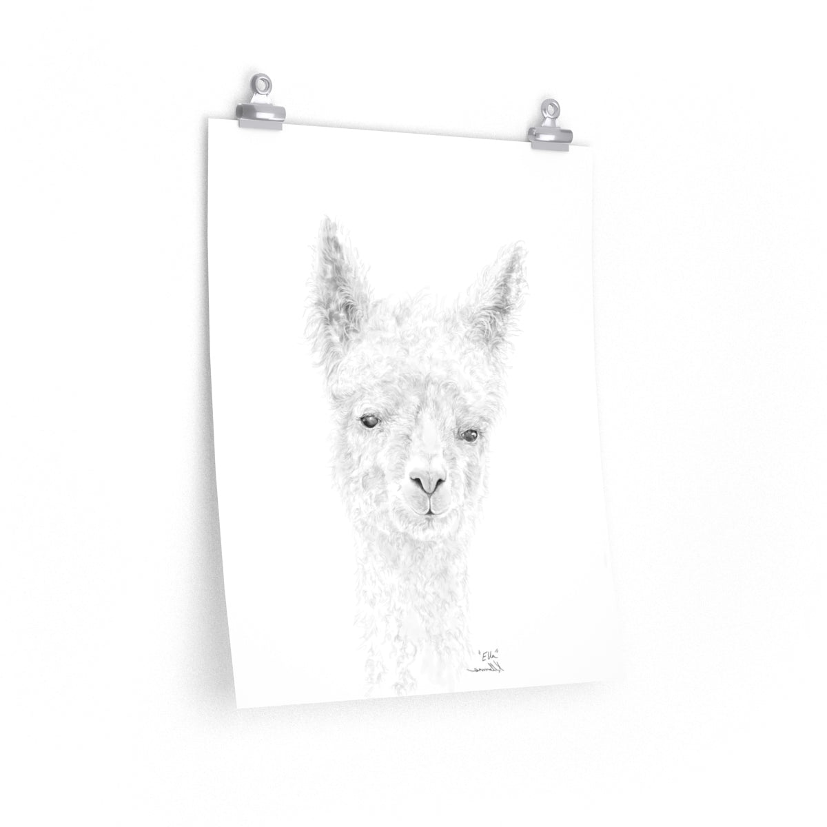 ELLA Llama- Art Paper Print