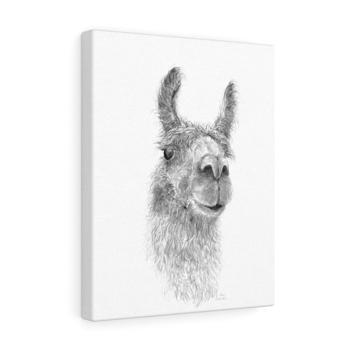 ADREA Llama - Art Canvas