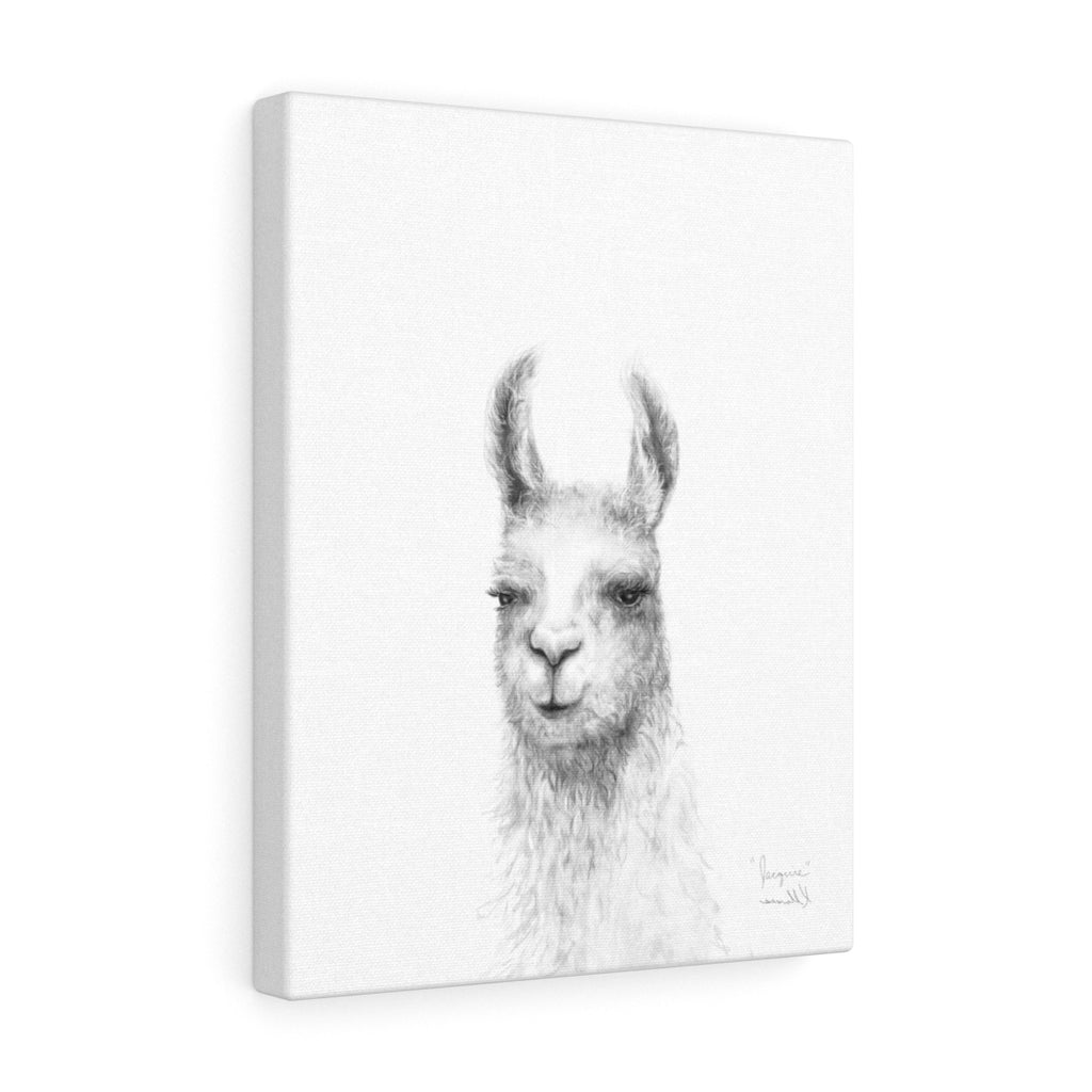 JACQUIE Llama - Art Canvas