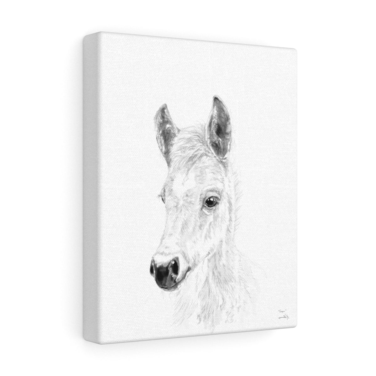 Cooper Horse - Animal Art Canvas