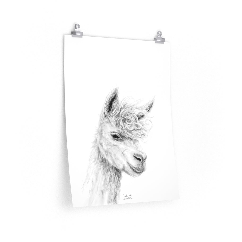 FREDERICK Llama- Art Paper Print