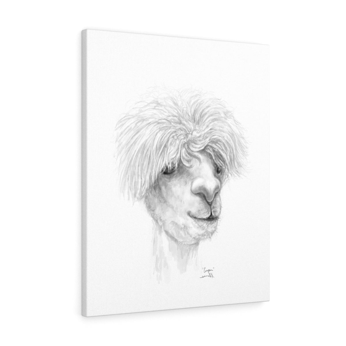 COOPER Llama - Art Canvas