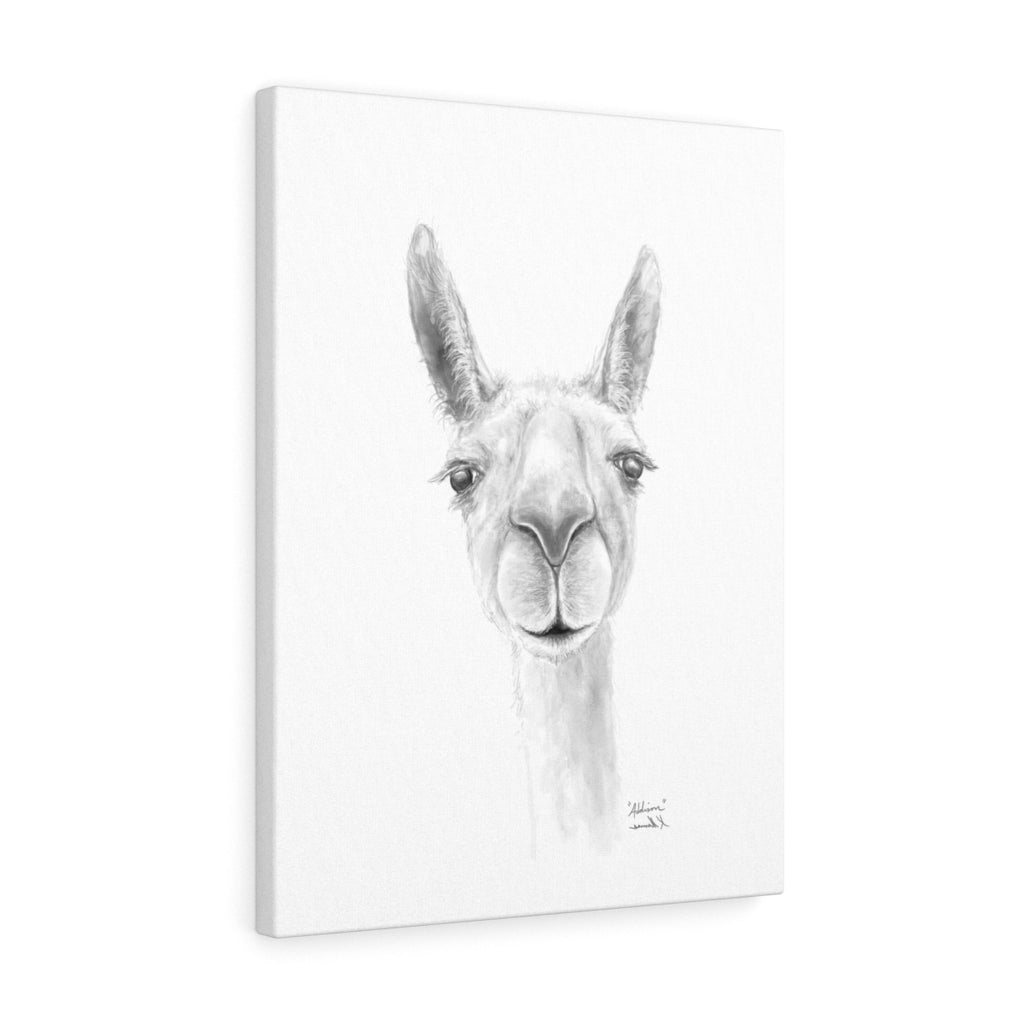 ADDISON Llama- Art Canvas