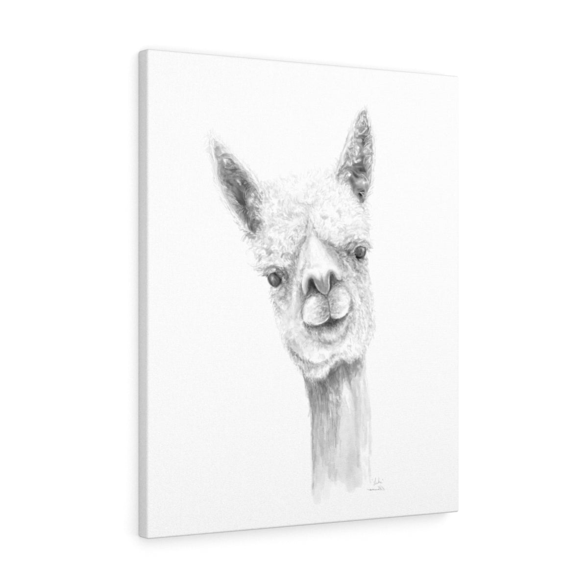 Luke Llama - Art Canvas