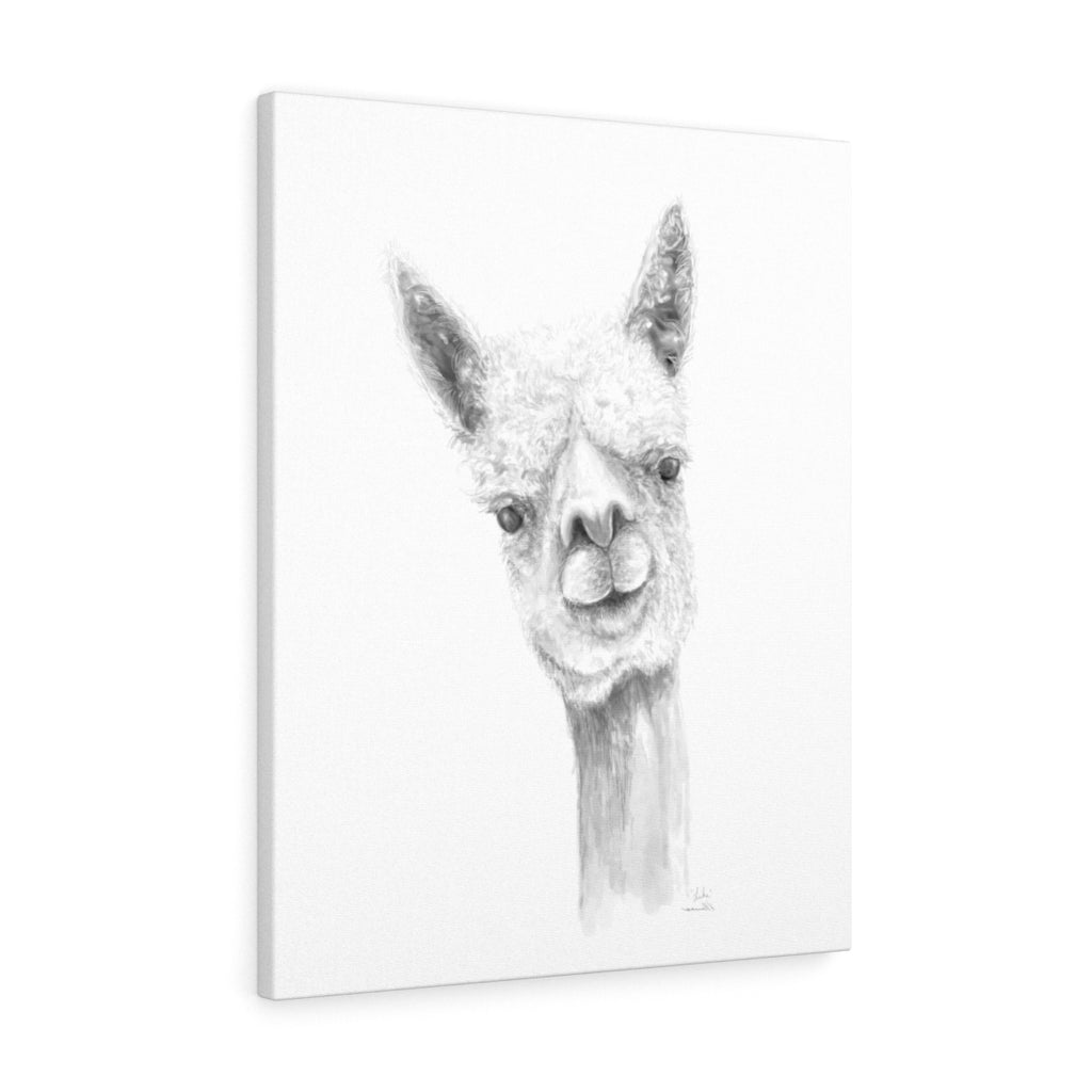 Luke Llama - Art Canvas