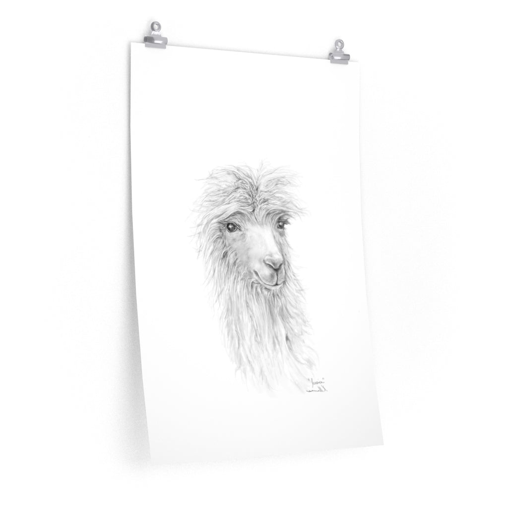 JESSICA Llama- Art Paper Print