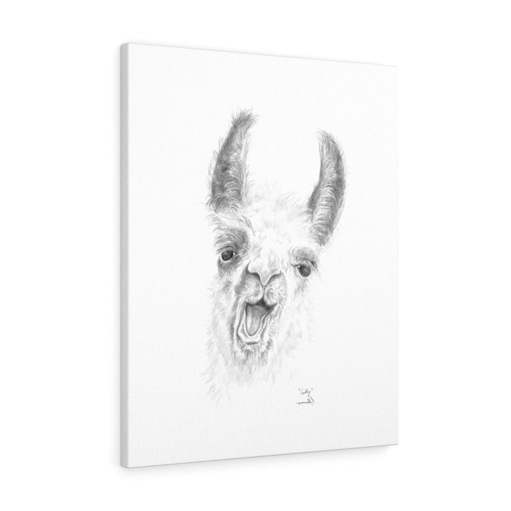 Gabby Llama - Art Canvas