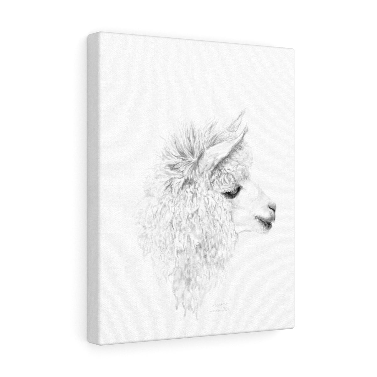 ARIANA Llama - Art Canvas