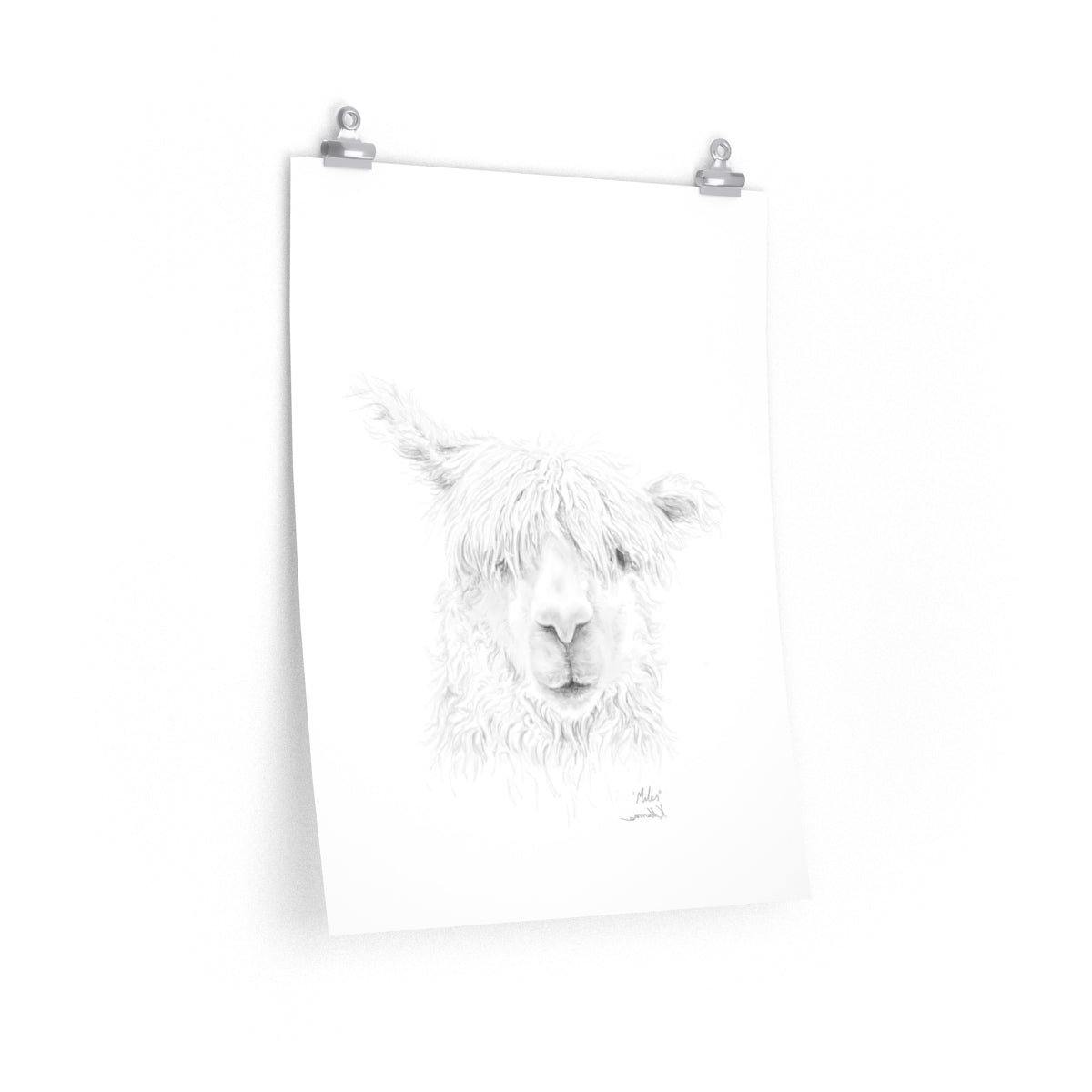 MILES Llama- Art Paper Print