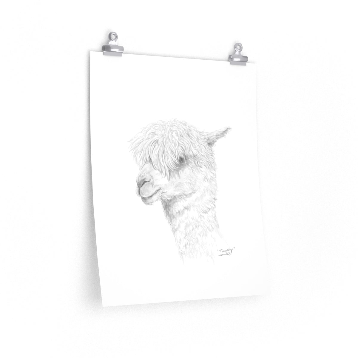 TIMOTHY Llama- Art Paper Print