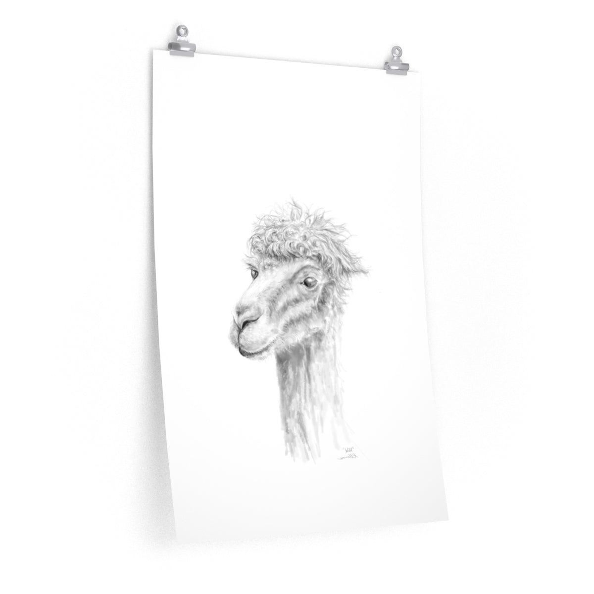 WILL Llama- Art Paper Print