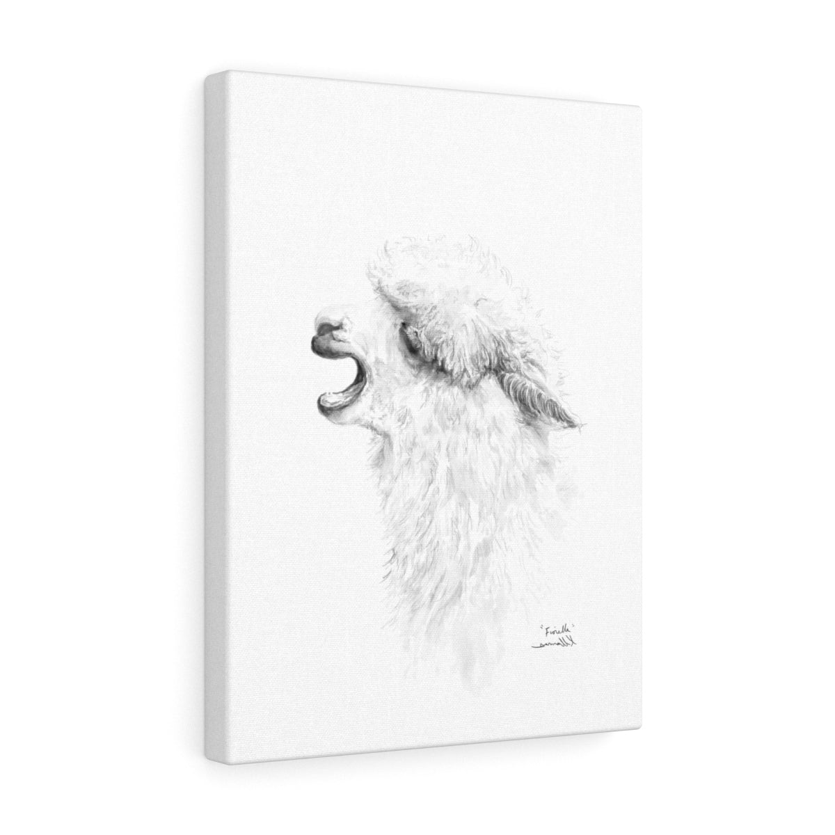 FIORELLA Llama - Art Canvas