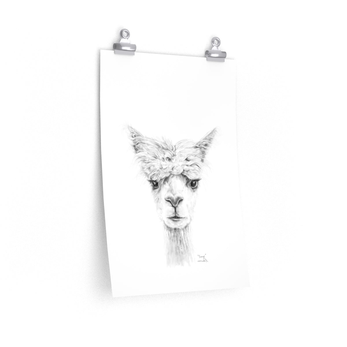 TRACY Llama- Art Paper Print