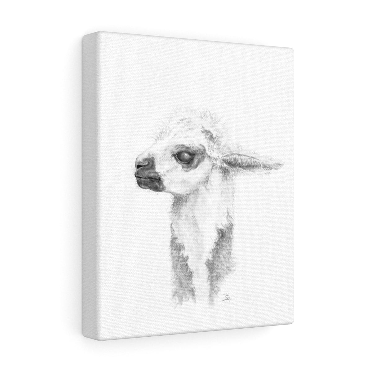 Debi Llama- Art Canvas